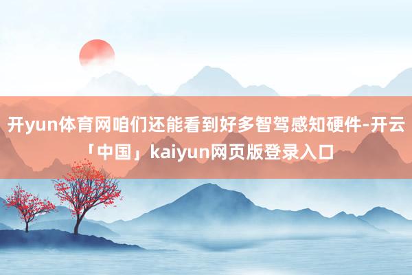 开yun体育网咱们还能看到好多智驾感知硬件-开云「中国」kaiyun网页版登录入口