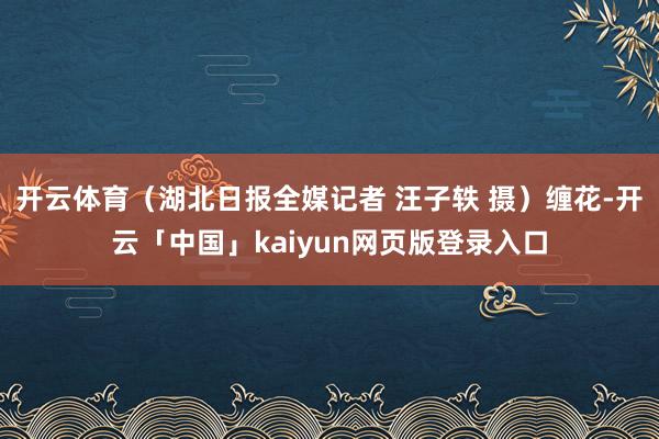 开云体育(湖北日报全媒记者 汪子轶 摄)缠花-开云「中国」kaiyun网页版登录入口
