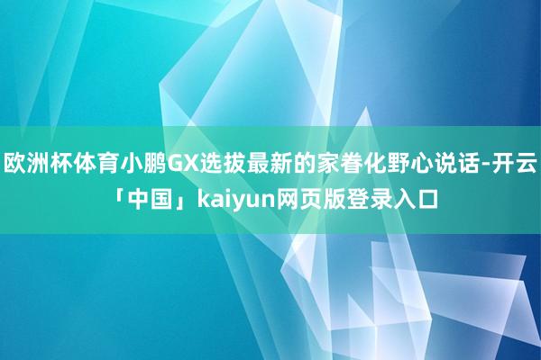 欧洲杯体育小鹏GX选拔最新的家眷化野心说话-开云「中国」kaiyun网页版登录入口
