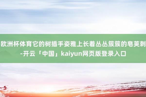 欧洲杯体育它的树插手姿雅上长着丛丛簇簇的皂荚刺-开云「中国」kaiyun网页版登录入口