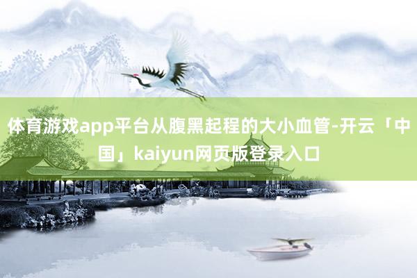 体育游戏app平台从腹黑起程的大小血管-开云「中国」kaiyun网页版登录入口